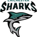 18+ Adult Flag Away Tournament: Chichester Sharks